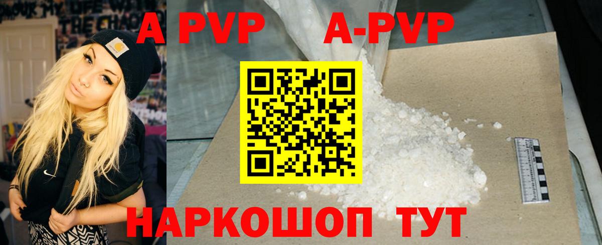 A PVP СК КРИС Абакан