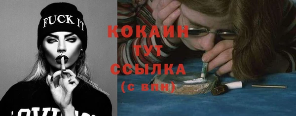 МДПВ Струнино