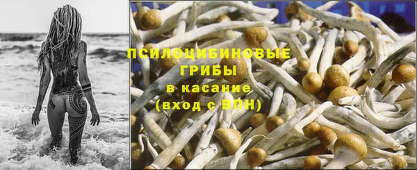 спиды Ступино