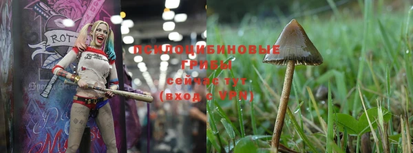 гашишное масло Абинск