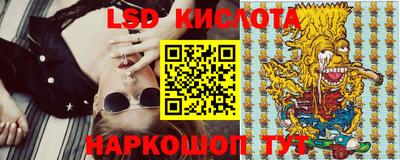 прущие грибы Абакан