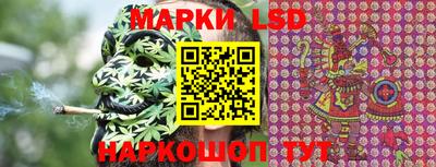 прущие грибы Абакан