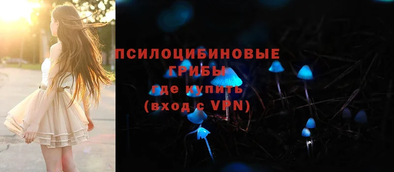Галлюциногенные грибы мухоморы  закладки  Абакан 