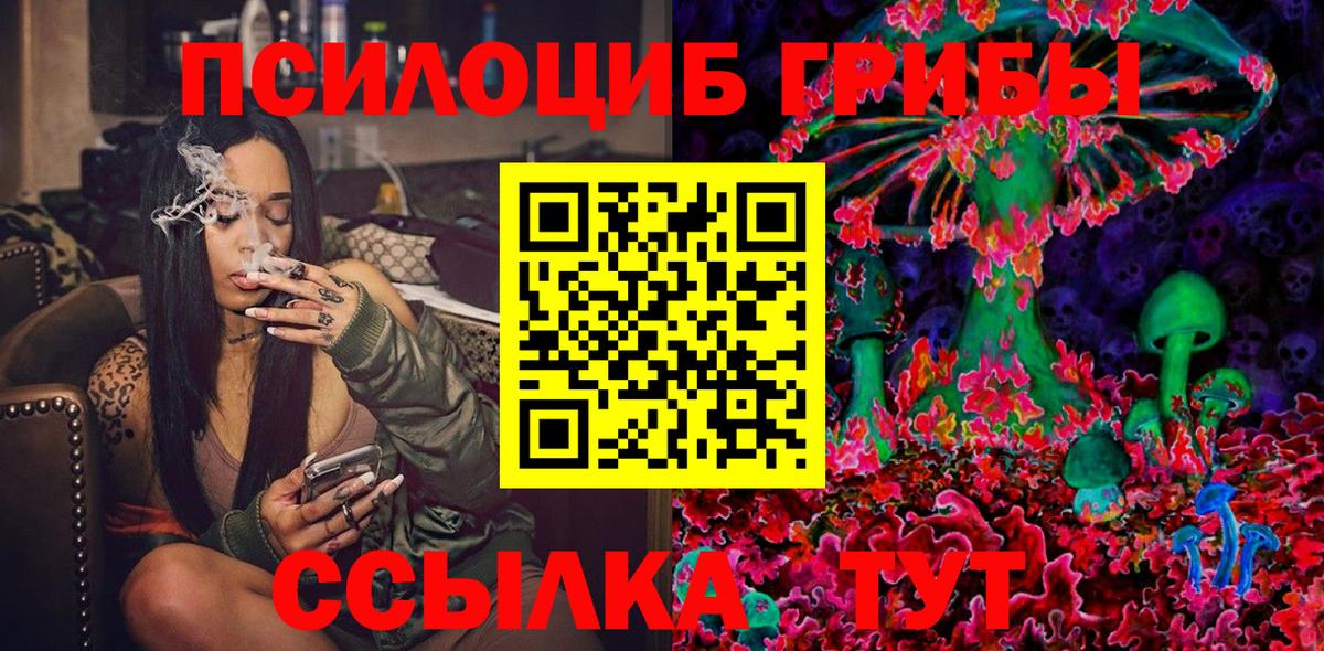 Псилоцибиновые грибы Cubensis Абакан