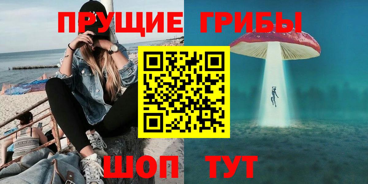 Псилоцибиновые грибы Psilocybe  Абакан 