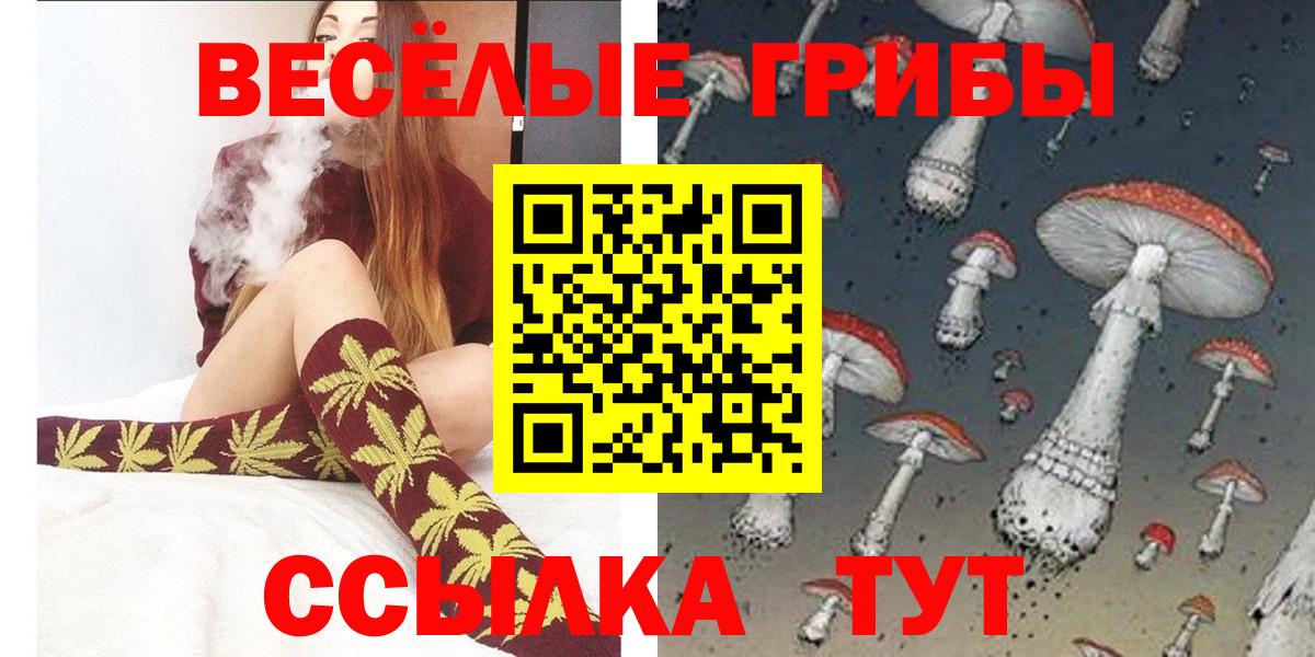 Абакан  Галлюциногенные грибы мухоморы  Вход с VPN 